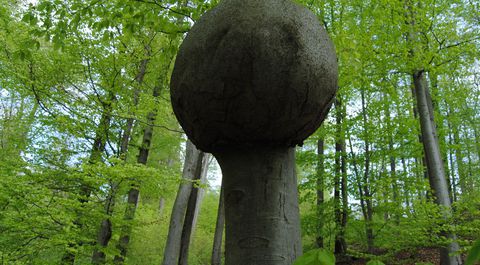 Lichtenfels grundstücke